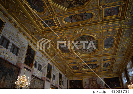 レジデンツ2階王の間の天井装飾(ドイツ・ミュンヘン) レジデンツ2階王の間の天井装飾(ドイツ・ミュンヘン) 45083755