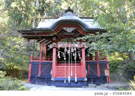 花園神社の本殿　三猿　北茨城市 45084084