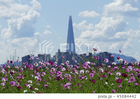 コスモス ロッテワールドタワー 空 45084442