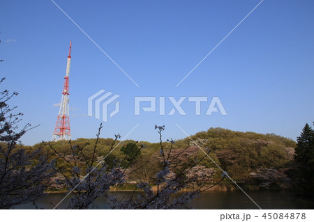 横浜市三ツ池公園の風景 横浜市三ツ池公園の風景 45084878