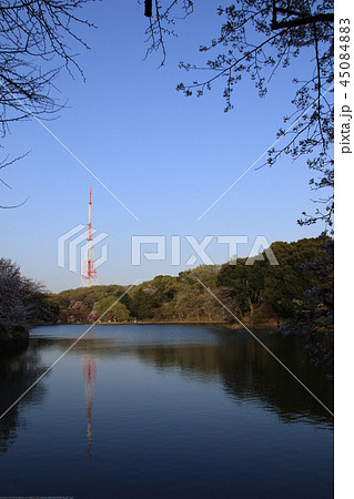 横浜市三ツ池公園の風景 45084883