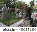 鳥居と狛犬 45085164