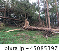 台風被害 45085397