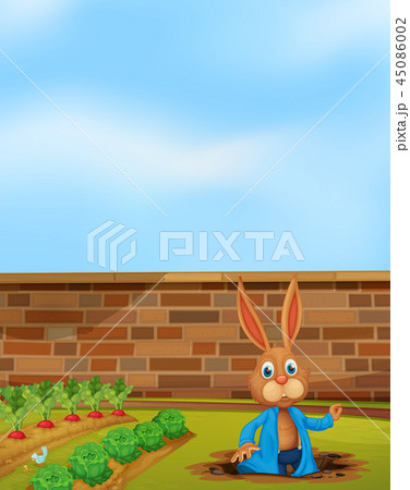 A rabbit digging a hole next to farm A rabbit digging a hole next to farm 45086002