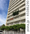 緑とビル 45086290