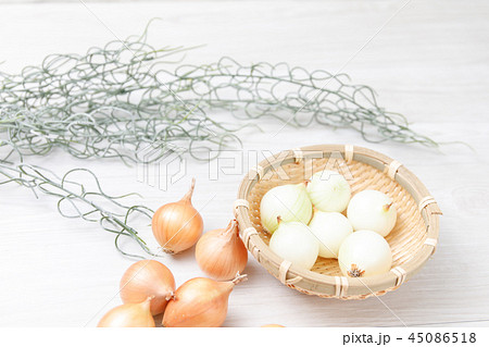 野菜　プチオニオン　品種：ペコロス 45086518