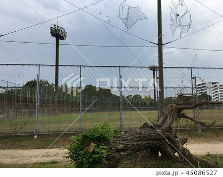 球場 45086527