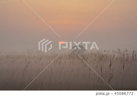 木 南洞 生態公園 45086772