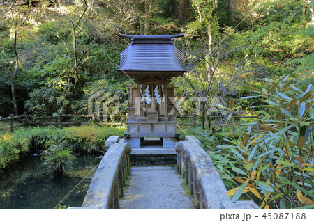 花園神社　花園渓谷　北茨城 45087188