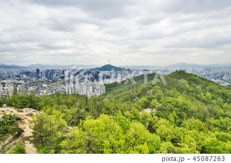 韓国 春 葉 45087263