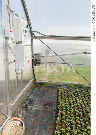 Greenhouse with microclimate control.  45088079