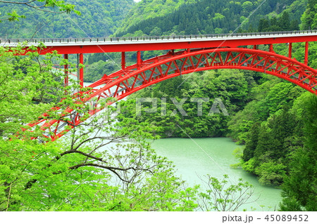 利賀大橋 45089452