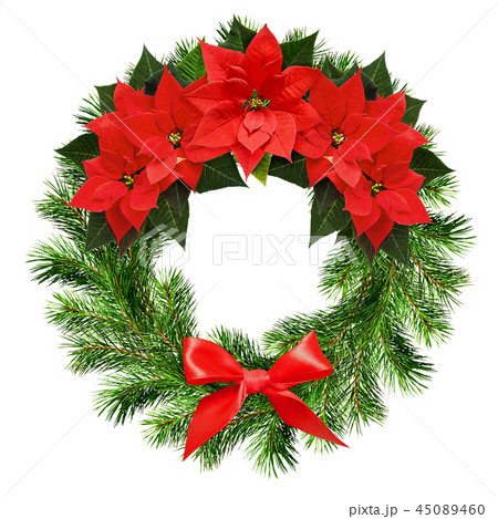 Christmas wreath from pine twigs and poinsettia Christmas wreath from pine twigs and poinsettia 45089460