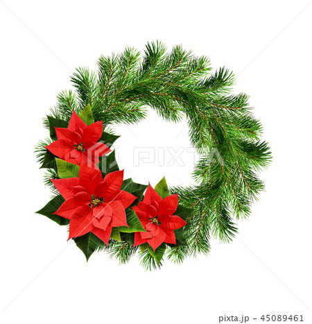 Christmas wreath from pine twigs and poinsettia Christmas wreath from pine twigs and poinsettia 45089461