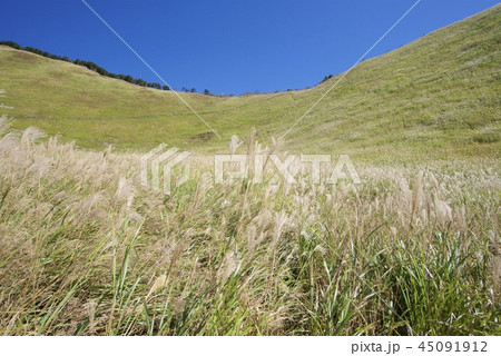 秋の曽爾高原 45091912