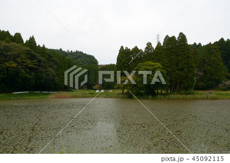 南玉貯水池 大網白里町 千葉県 千葉 南玉貯水池 大網白里町 千葉県 千葉 45092115