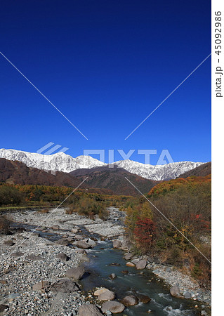 三段紅葉 45092986