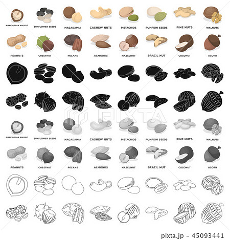 Hazelnut, pistachios, peanuts and other types of nuts.Different types of nuts set collection icons Hazelnut, pistachios, peanuts and other types of nuts.Different types of nuts set collection icons 45093441