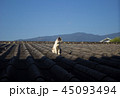 The cat basking in the sun on the rooftop 45093494
