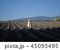 The cat basking in the sun on the rooftop 45093495