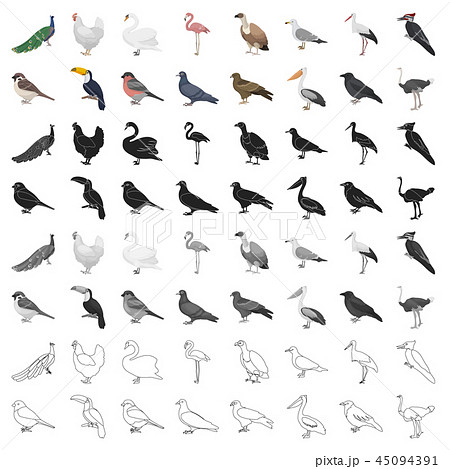 Bird set icons in cartoon style. Big collection bird vector symbol stock illustration Bird set icons in cartoon style. Big collection bird vector symbol stock illustration 45094391