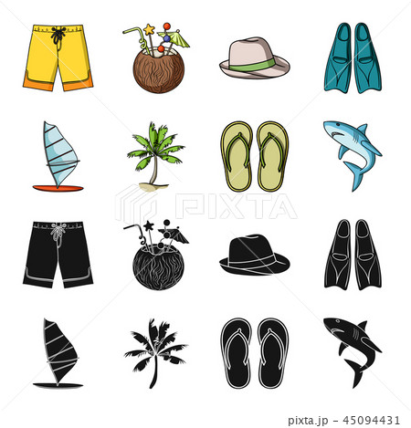 Board with a sail, a palm tree on the shore, slippers, a white shark. Surfing set collection icons Board with a sail, a palm tree on the shore, slippers, a white shark. Surfing set collection icons 45094431