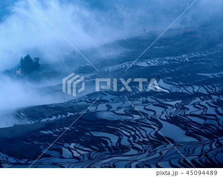 中国雲南省元陽・ 多依樹棚田 / Duoyishu, Yuanyang, China 中国雲南省元陽・ 多依樹棚田 / Duoyishu, Yuanyang, China 45094489