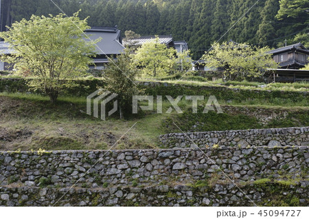 岩座神の棚田 45094727