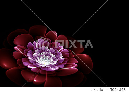 purple fractal flower purple fractal flower 45094863