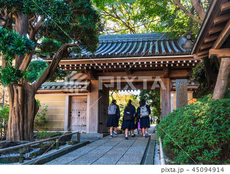 鎌倉　報国寺　山門 45094914
