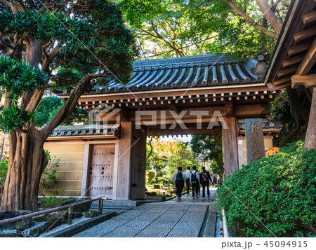 鎌倉　報国寺　山門 45094915