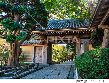 鎌倉　報国寺　山門 45094916