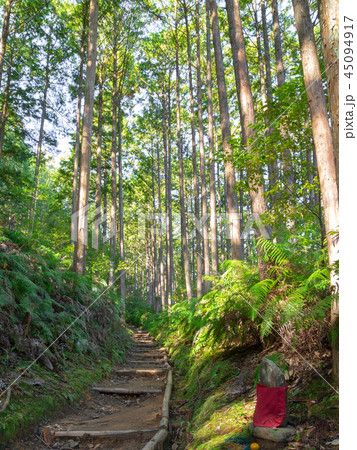 熊野古道 熊野古道 45094917
