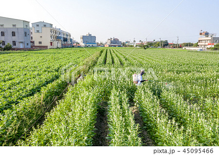 飛行機 航空機 ひこうき 45095466
