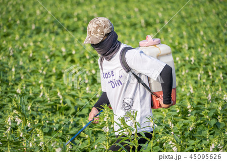 農家 農夫 農民 45095626