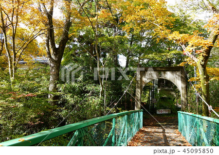 秋の鹿教湯温泉　みどり橋　　上田市 45095850