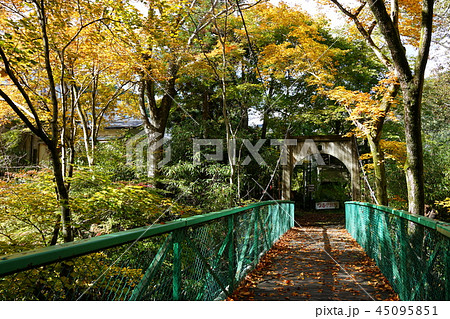 秋の鹿教湯温泉　みどり橋　　上田市 45095851