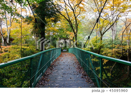 秋の鹿教湯温泉　みどり橋　　上田市 45095960