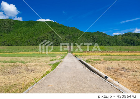 田辺市 本宮町の田園風景 田辺市 本宮町の田園風景 45096442