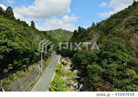 福知山市大江町の新童子橋からの絶景 福知山市大江町の新童子橋からの絶景 45097656