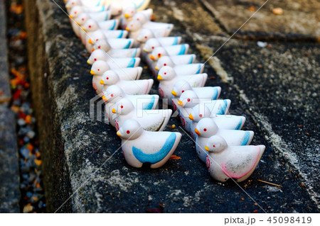 六角堂（京都） 45098419