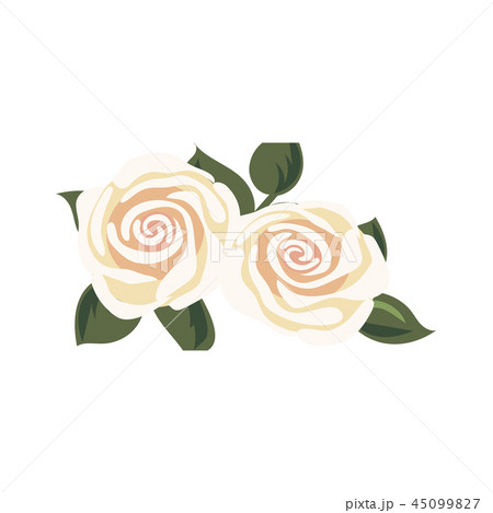 white or tea rose flowers. Detailed vector  45099827