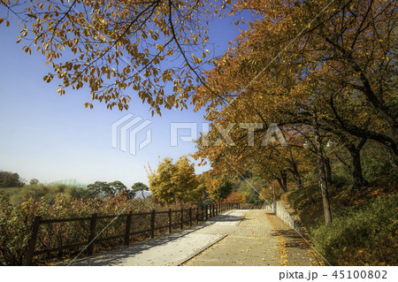 秋 紅葉 風景 45100802