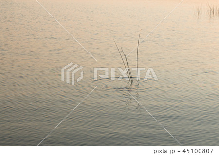 Beautiful calm sunset landscape on Lake Huron Beautiful calm sunset landscape on Lake Huron 45100807