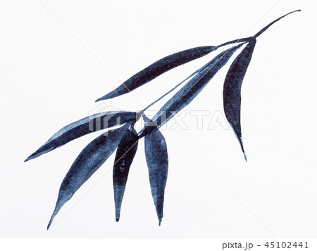 bamboo branch drawn by black watercolors bamboo branch drawn by black watercolors 45102441