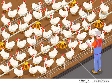 Poultry Isometric Background 45102555