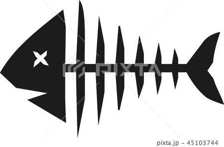 Fish skeleton 45103744