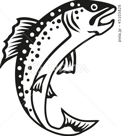 fish_trout_details.eps 45103826