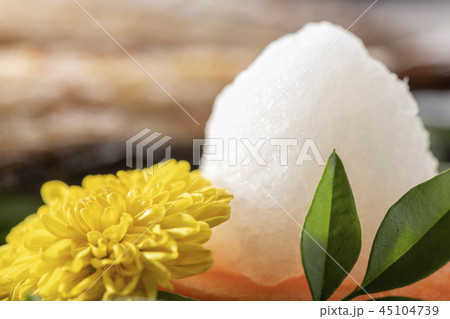 小菊 45104739