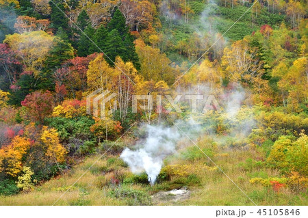 八幡平　蒸ノ湯温泉のカラフル紅葉と源泉のコラボ 45105846